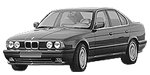 BMW E34 P081E Fault Code